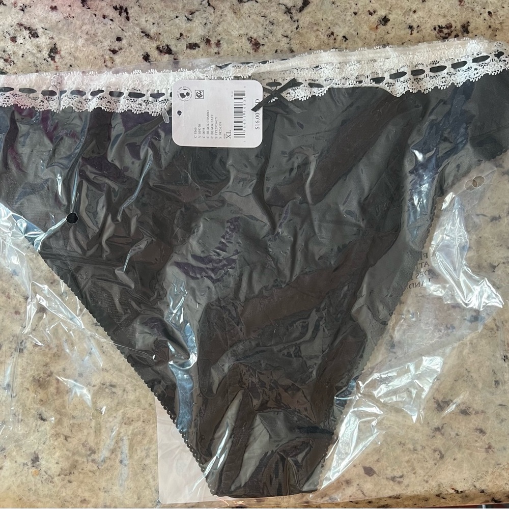 New - So Sweet Intimately Free People Mesh Bikini Underwear